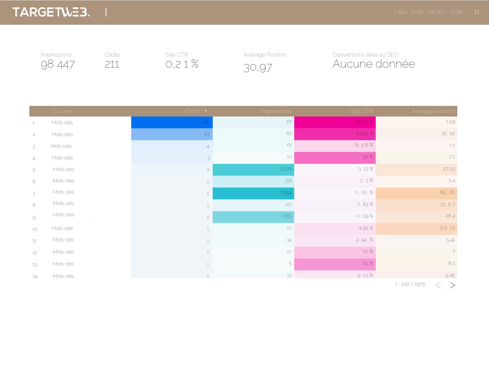 Données Google Search Console avec requêtes et positions SEO